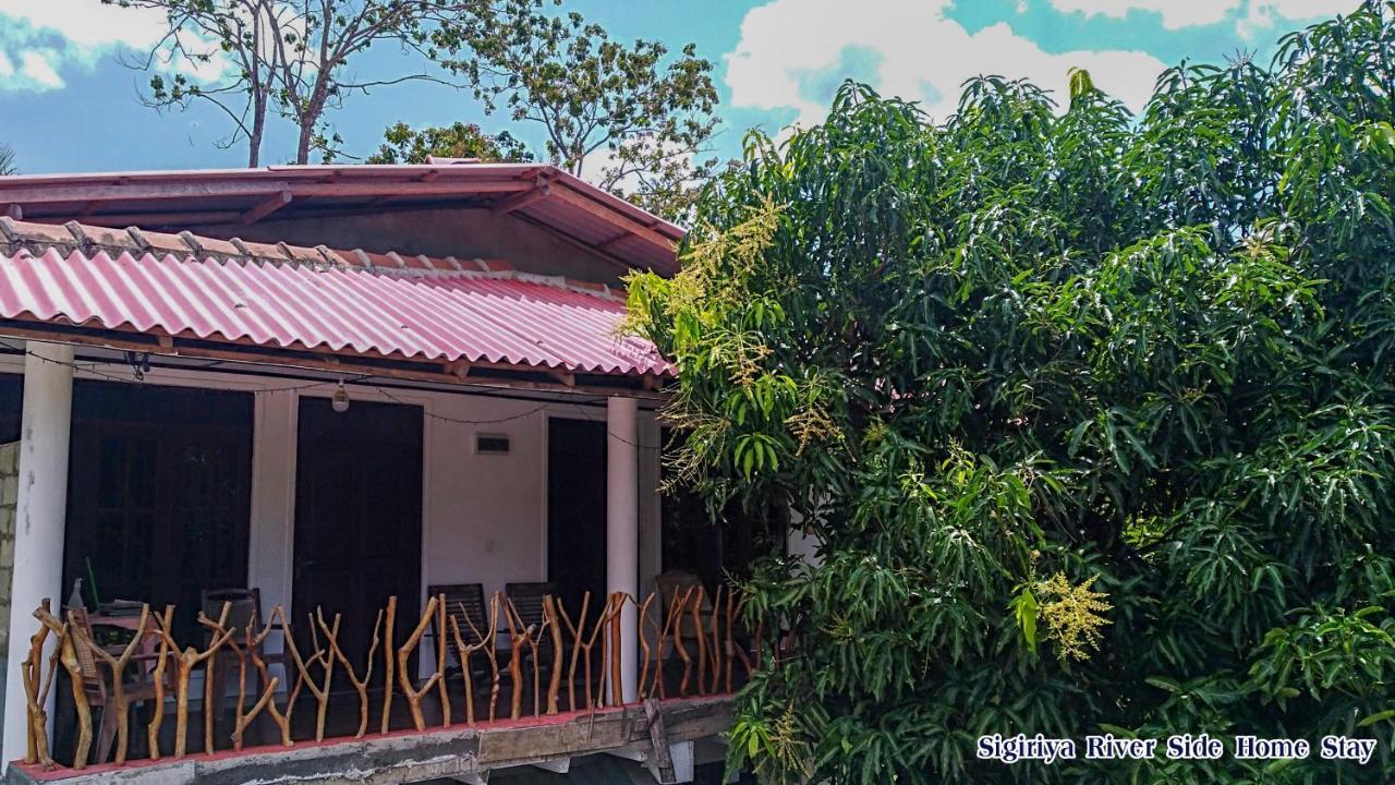 The Sigiri Roar Homestay Sigiriya